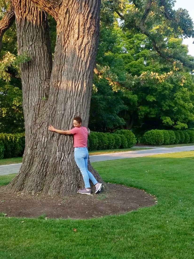 9AED3920-B084-472F-BBAB-04788F230A72